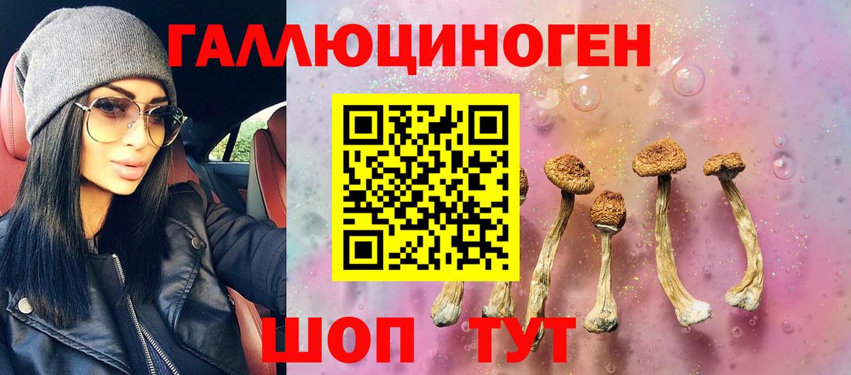 Сокол  где купить наркоту  Вход с VPN  Псилоцибиновые грибы MAGIC MUSHROOMS 