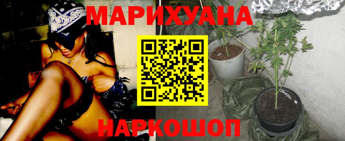 Сокол  Шишки марихуана Bruce Banner  Марихуана план  Вход с VPN  Шишки марихуана Ganja 